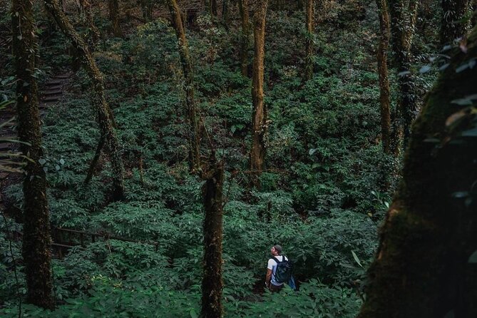 Jungle Wisdom Survival Trek - The overnight jungle camp: shelter basics, shared meals, and what to pack