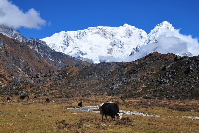 Kanchenjunga Circuit Trek - Cheram rest day, Pangpema overnight, and why these two details matter