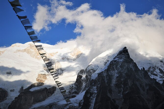 Kanchenjunga Circuit Trek - Nature on the circuit: forests, wildlife chances, and why timing helps