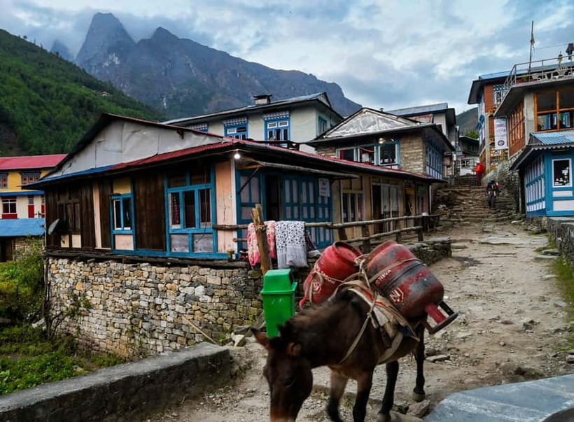 Kathmandu: 15-Day Everest Base Camp Trek with Guide - Sagarmatha National Park: Sherpa Life, Monasteries, and Real Mountain Detail