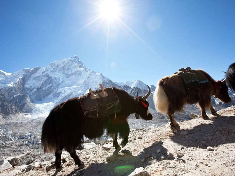 Kathmandu: 6 Days Langtang Valley Trek with Kyanjin Ri - Day 2: Forest Trails to Ghoda Tabela and Waterfall Views