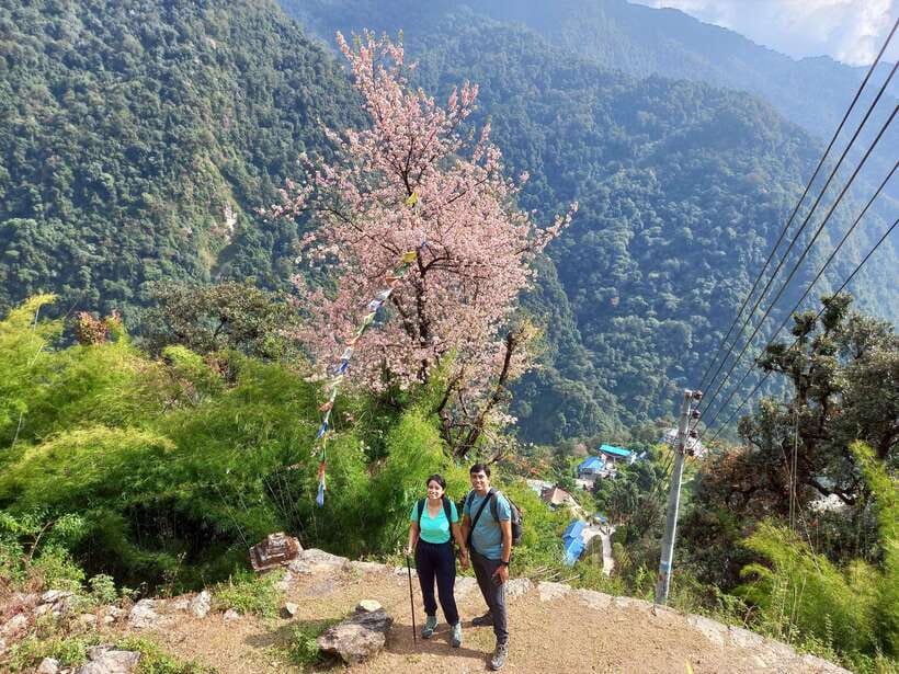 Kathmandu/Pokhara: 5-Day Annapurna Base Camp (ABC) Trek - Day 4: Sunrise at ABC, Then the Long Return Toward Bamboo/Sinuwa