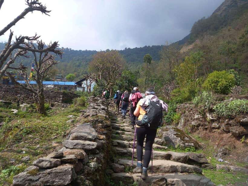 Kathmandu/Pokhara: 5-Day Annapurna Base Camp (ABC) Trek - Guides, Safety, and the Small Choices That Make the Trek Easier