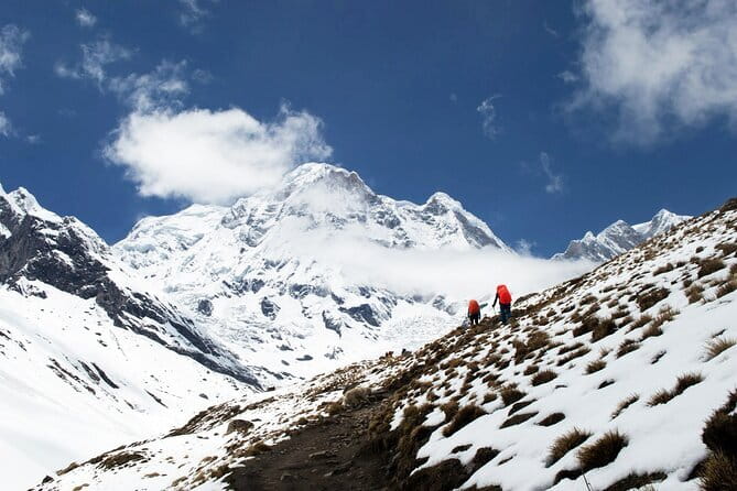 Kathmandu to Annapurna Base Camp (ABC) 5-Day Trek - Day 2: Sinuwa to Deurali Through Forests, Waterfalls, and Tea-House Stops