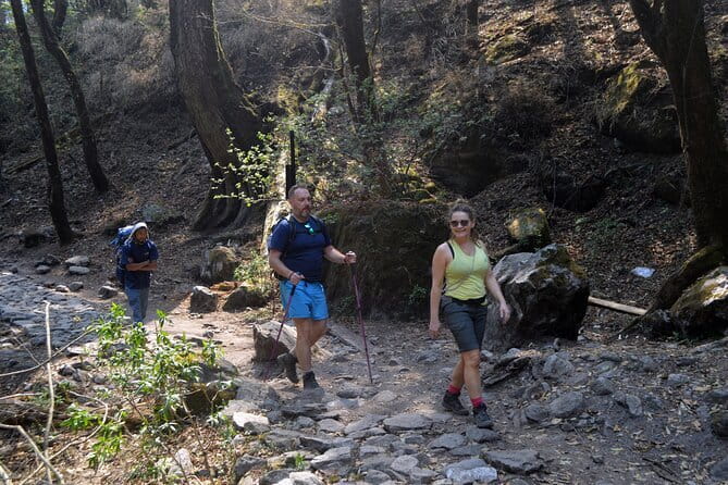 Kathmandu to Langtang Valley 7-Day Trek - Key highlights you’ll actually feel on this Langtang trek