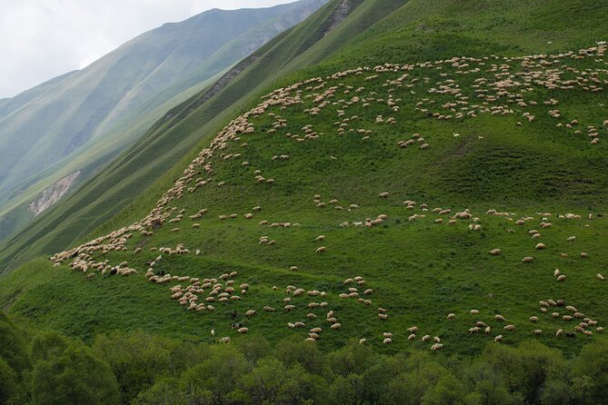 Kazbegi - One Day Private Trekking Tour to Truso Valley - Stop 2 and beyond: Kasari Canyon to Zakagori Fortress