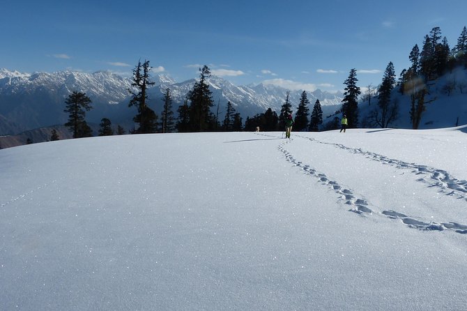 Kedarkantha Trek - Summit day: from 11,250 to 12,500 ft, then back to camp