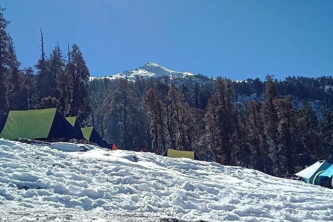 Kedarkantha Trek (Dehradun to Dehradun) - From Prince Chowk to Sankri: the real start of the trek