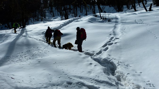 Kedarkantha Trek - Sankri to Juda (4 km) at around 9,100 feet