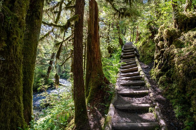 Ketchikan Magical Old-Growth Creek Trek Guided Tour - Why the small-group setup feels worth the cost