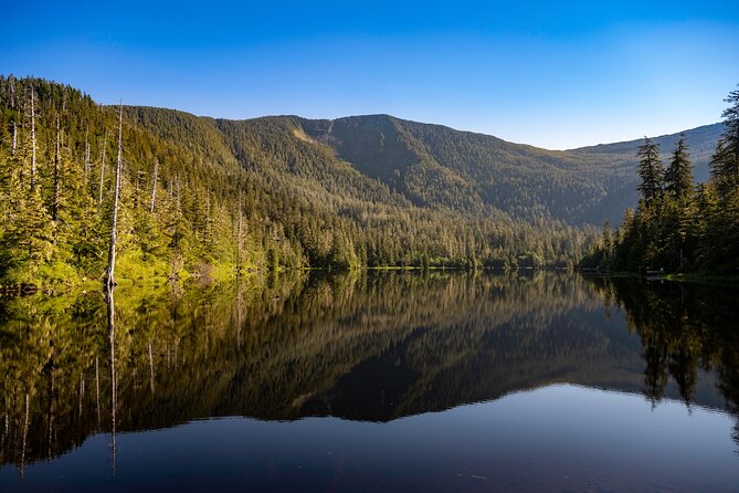 Ketchikan Mountain Lake Trek to Avalanche Chute - The 3-hour, 4-mile hike: what the trail is like in real terms