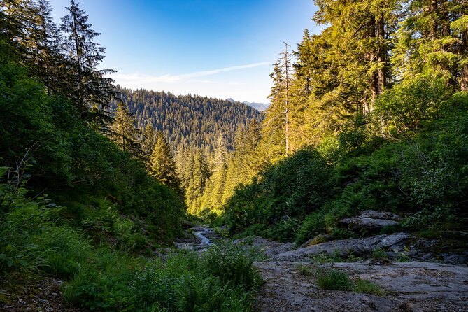 Ketchikan Mountain Lake Trek to Avalanche Chute - What’s included (and what isn’t) so you can plan your day