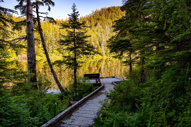 Ketchikan Mountain Lake Trek to Avalanche Chute - Price and value: what $258.18 buys you
