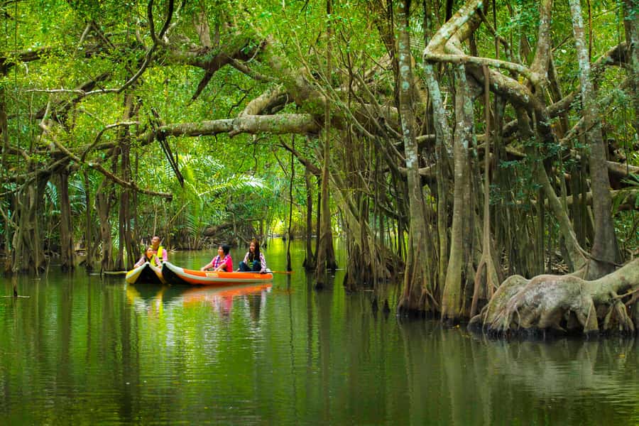 Khao Lak's Little Amazon: Canoe, Trek & Waterfall Day Trip - Canoe on the Little Amazon (Takuapa): the calm part of the adventure