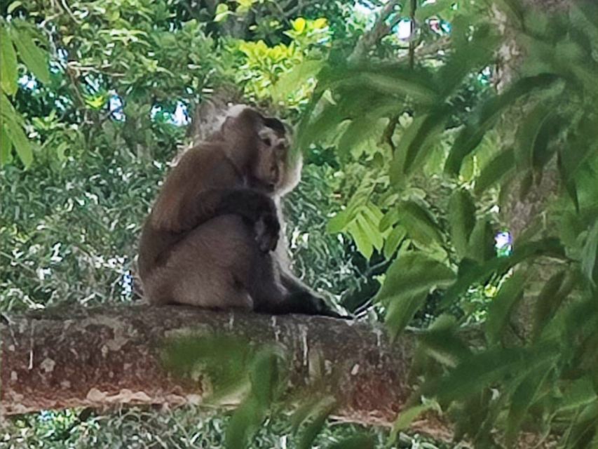 Khao Sok Jungle Day Trip - Jungle Trekking & Bamboo Rafting - Key Things I’d Focus On