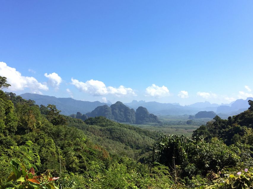 Khao Sok Jungle Day Trip - Jungle Trekking & Bamboo Rafting - Jungle Trekking: Wildlife Watching at Your Pace