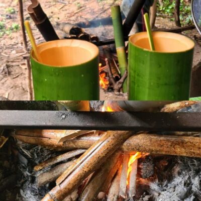 Khao Sok Jungle Day Trip - Jungle Trekking & Bamboo Rafting - Hotel Pickup at 7:00 AM and the Khao Sok Viewpoint Stop