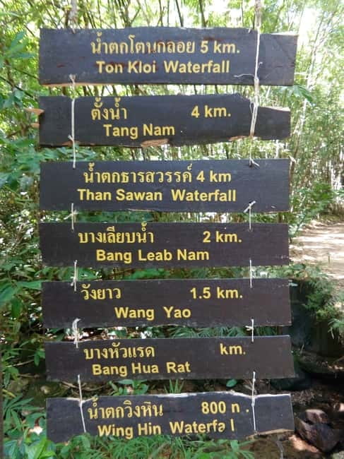 Khao Sok Jungle Day Trip - Jungle Trekking & Bamboo Rafting - Thai Lunch by the River: Food That Doesn’t Feel Like an Afterthought