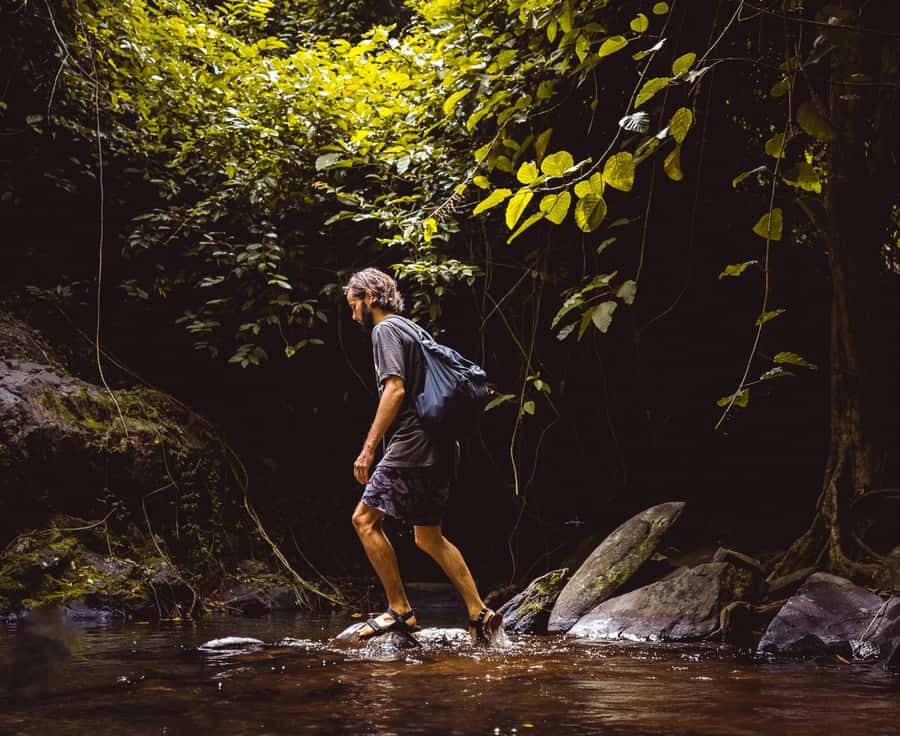 Khao Sok: Private Day Trekking, Jungle Dinner & Night Safari - Traditional Jungle Dinner in Bamboo and Chicken Style