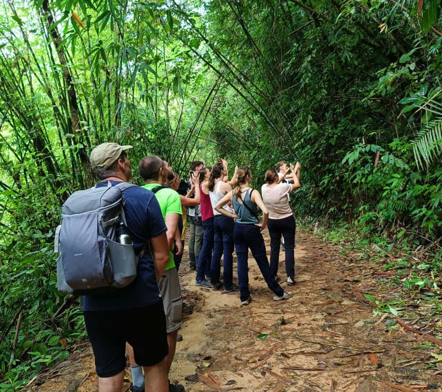 Khao Sok: Private Day Trekking, Jungle Dinner & Night Safari - The Night Safari Portion: Spotting nocturnal wildlife with the right approach