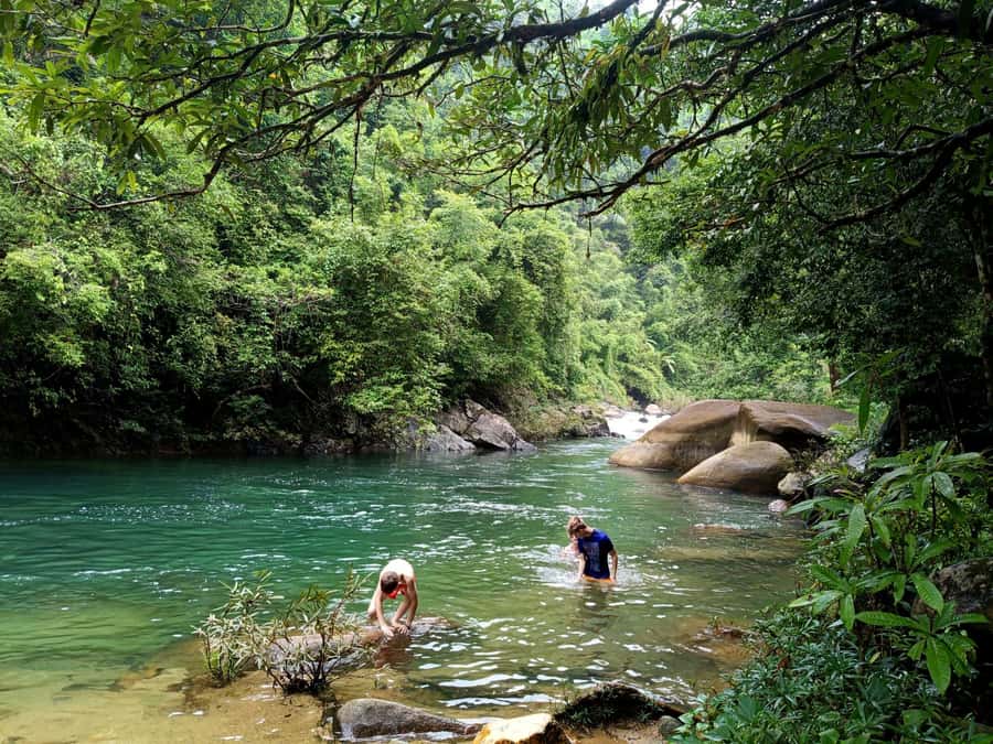 Khao Sok: Private Day Trekking, Jungle Dinner & Night Safari - The Afternoon Jungle Trek: Easy walking, big payoff for wildlife spotting
