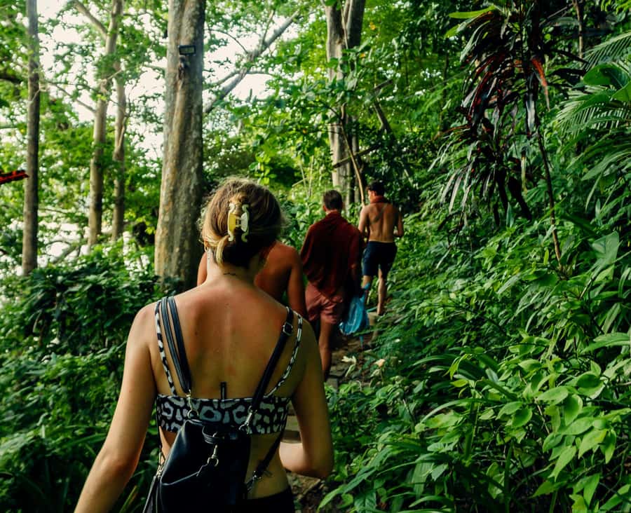 Khao Sok: Private Jungle Trek, Waterfall Swim & Bamboo Lunch - Key things that make this tour work