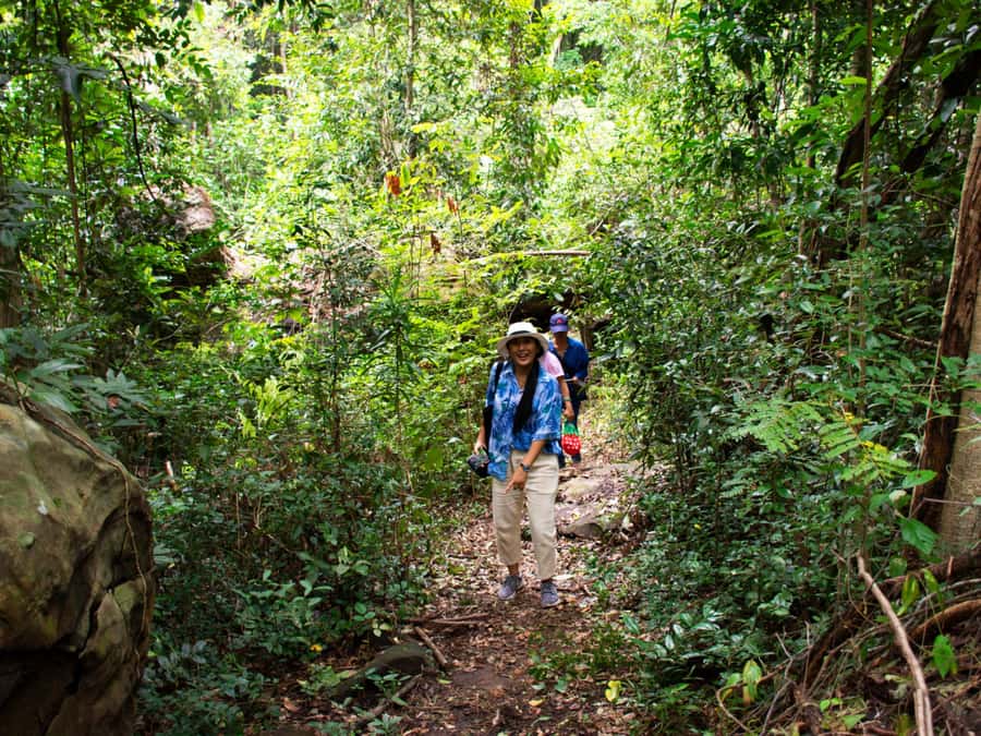 Khao Sok: Private Jungle Trek, Waterfall Swim & Bamboo Lunch - Khao Sok Jungle Trek With a Waterfall Bonus