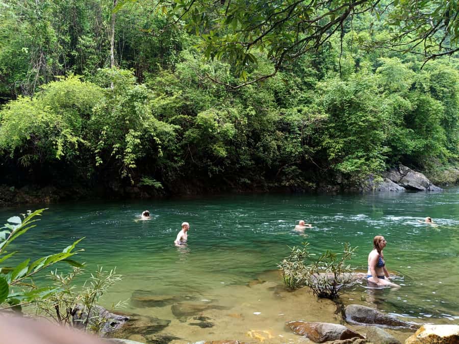 Khao Sok: Private Jungle Trek, Waterfall Swim & Bamboo Lunch - The 5-hour rhythm: pickup, rainforest trails, and animal-spotting time