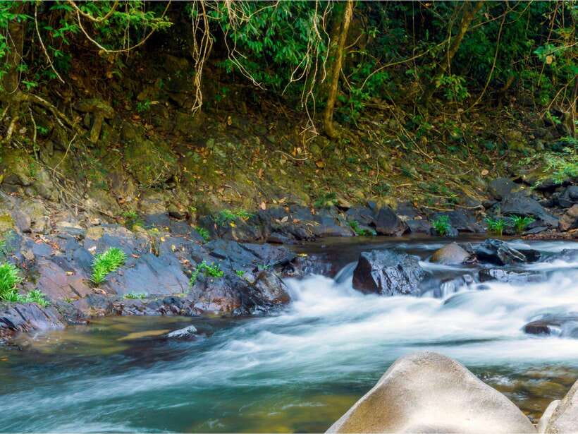 Khao Sok: Private Waterfalls and Wildlife Half-Day Trek - Wing Hin Waterfall: A Second Hit of Water and Views