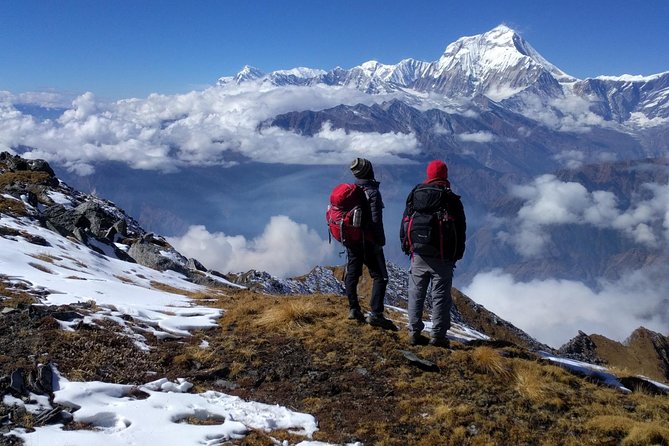 Khopra Ridge Trek - The big idea: why Khopra Ridge works when you want Annapurna without the crowds