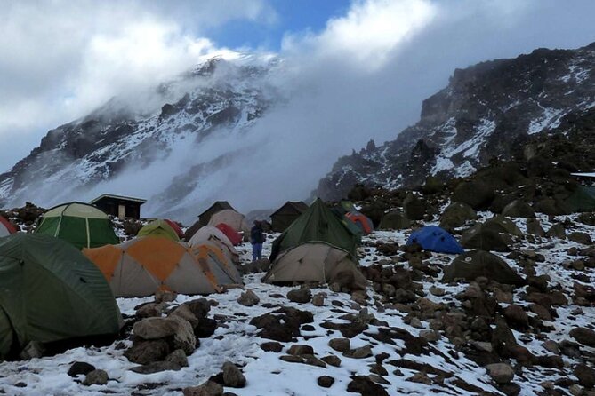 Kilimanjaro 7 Day Private Trekking Experience - Day 4: Barranco Wall to Karanga Valley—Hands-On Climbing and Greener Breathing