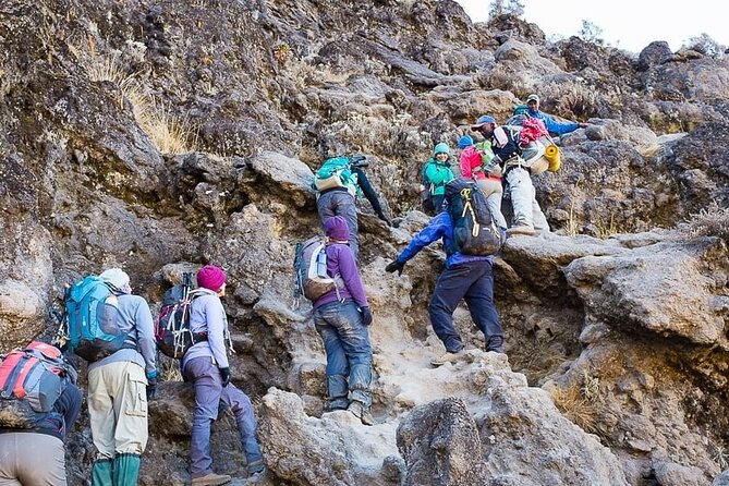 Kilimanjaro 7 Day Private Trekking Experience - Day 7: Mweka Gate Descent, Beer/Champagne, and the Hot Shower in Moshi