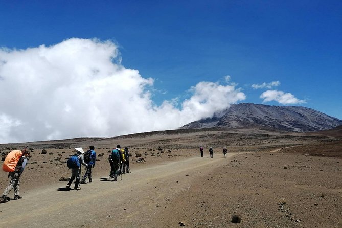Kilimanjaro Trek 6 Days Marangu Route - Marangu Route Huts: Comfort You’ll Feel After Day 2