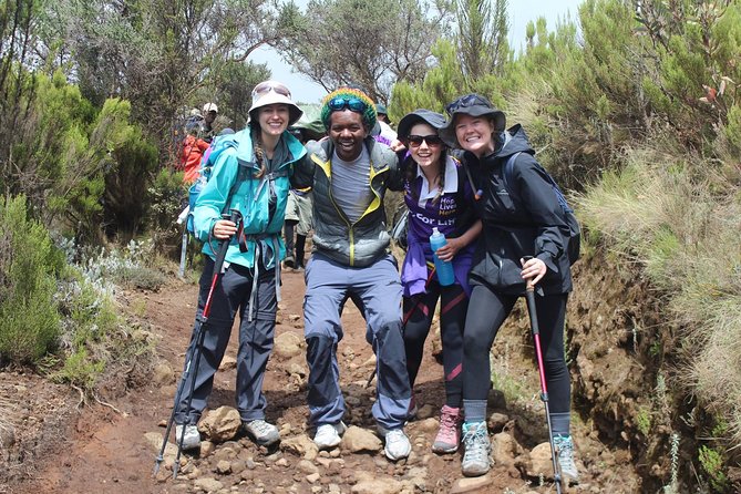 Kilimanjaro Trek 6 Days Marangu Route - Day 2: Mandara to Horombo, Moorland Walking, and the Maundi Crater Rim