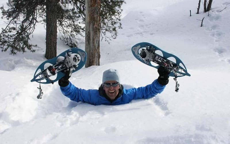 Kiruna: Snowshoe Trek with Aurora Hunt and Warm Beverage - Key things to know before you go