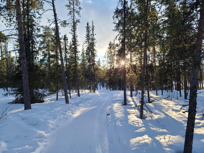 Kiruna: Snowshoe Trek with Warm Beverage and Sandwich - The Outdoor Break: Warm Drink, Sandwich, and a Real Pause