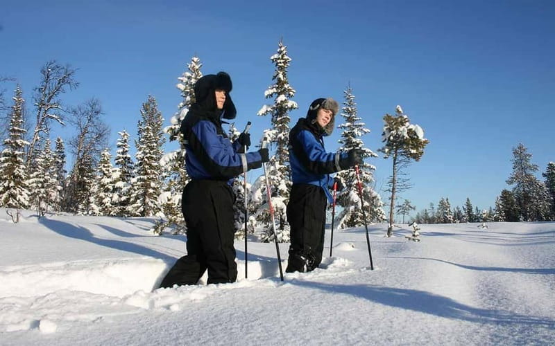 Kiruna: Snowshoe Trek with Warm Beverage and Sandwich - The Trek Up the Mountain: Animal Tracks You Can Actually Notice