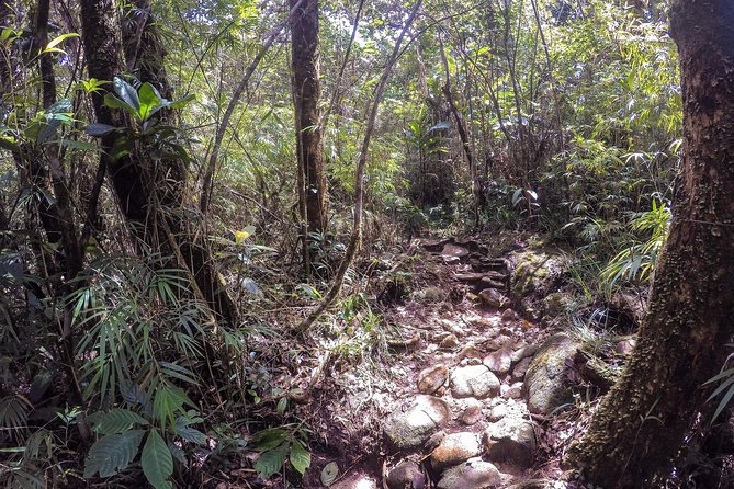 Knuckles Leopard trail Trek from Kandy - The downhill finish: ending the day without feeling stranded