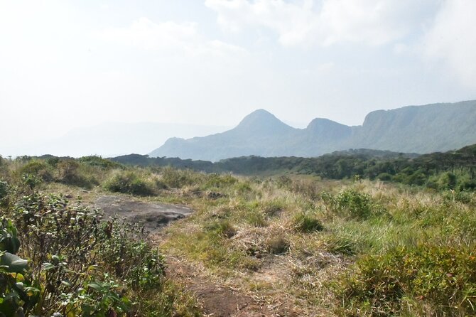 Knuckles Leopard trail Trek from Kandy - Price and logistics: what $100 covers (and what it doesn’t)