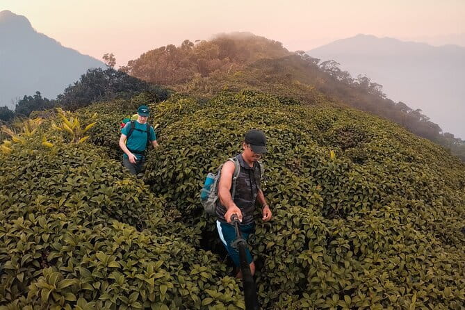 Knuckles Mountain Range Hiking and Trekking Day Tour From Kandy Hotels - Key Highlights You’ll Feel in Real Life