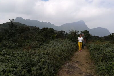 Knuckles Mountain Range Hiking and Trekking Day Tour From Kandy Hotels - Price Check: What You Get for $75 from Kandy