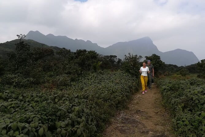 Knuckles Mountain Range Hiking and Trekking Day Tour From Kandy Hotels - Price Check: What You Get for $75 from Kandy