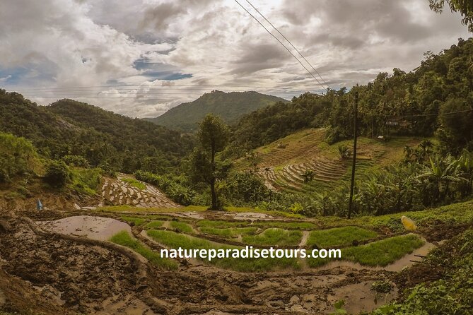 Knuckles Spice Trail Trek from Kandy - Key highlights you’ll actually care about