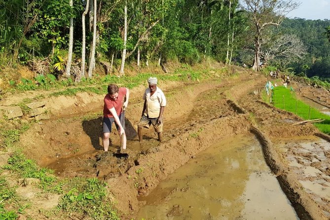 Knuckles Spice Trail Trek from Kandy - Picnic lunch, tea/coffee, and what’s actually included