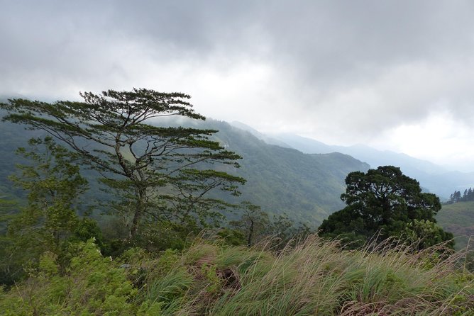 Knuckles Spice Trail Trek from Kandy - Price and value: is $85 a smart deal for this trek?