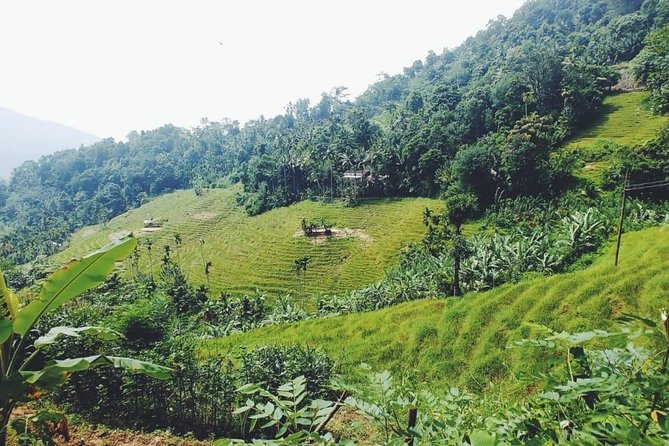 Knuckles Spice Trail Trek from Kandy - Who should book this Knuckles trek (and who should pass)