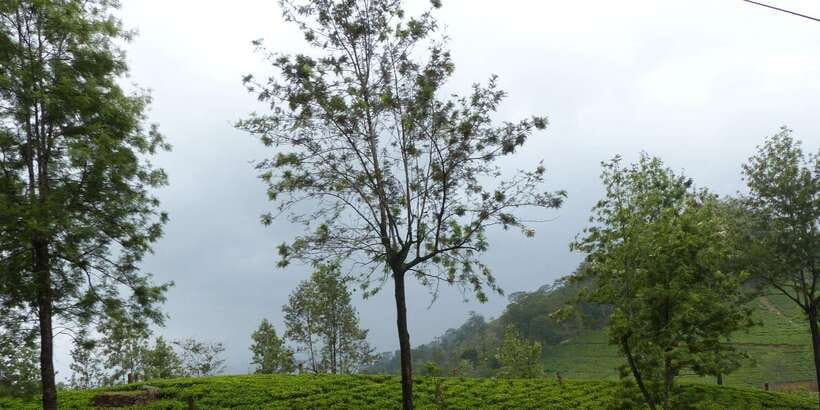 Knuckles Spice Trail Trek from Kandy - Practical tips: packing list and comfort priorities