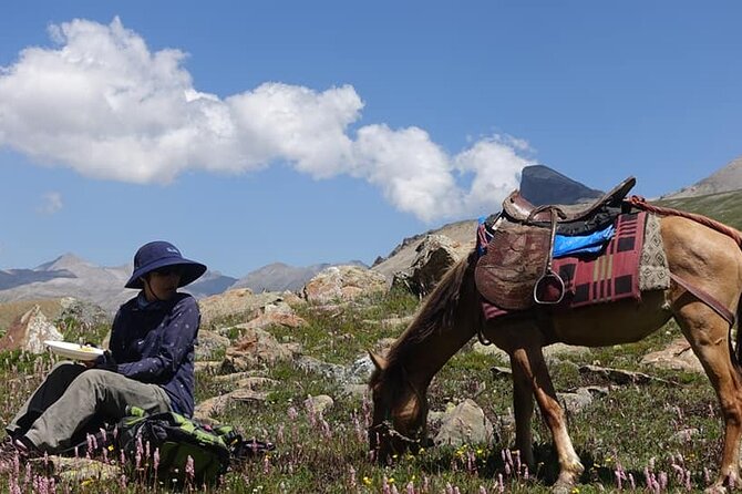 Kolahoi Glacier Trek - Day 2-3: pine, meadows, and the Basmai Pass reality check