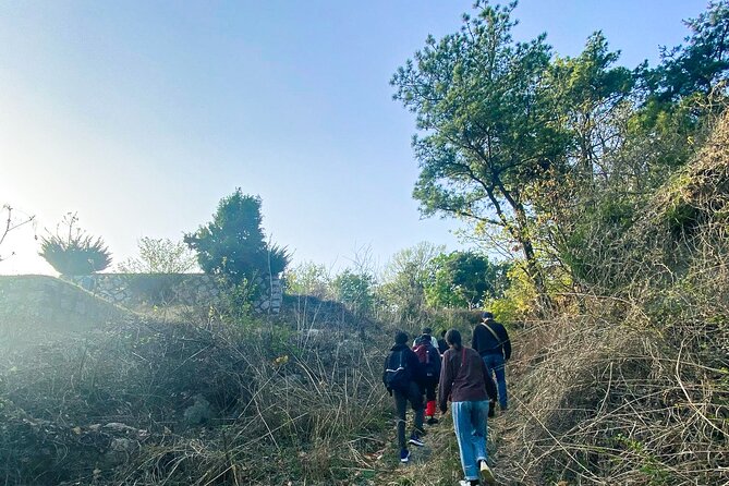 Korean Cemetery and Folklore Trek - Yongmi-ri Cemetery 1: The Stop That Turns a Sight Into a Story