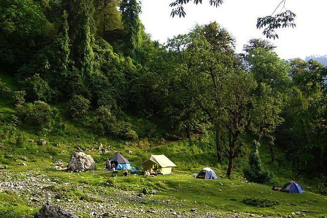 Kuari Pass Trek- 8 Days - Days 2 to 4: Chefna to Ghuni, Semkherk Meadow, and Kaliaghat